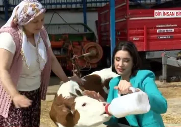 Bir köy hikayesi…