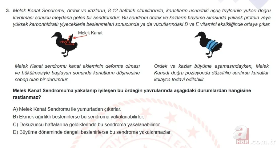 Mart ayı LGS örnek sorular listesi yayımlandı! MEB 2021 LGS sayısal - sözel örnek sorular ve cevap anahtarı 15