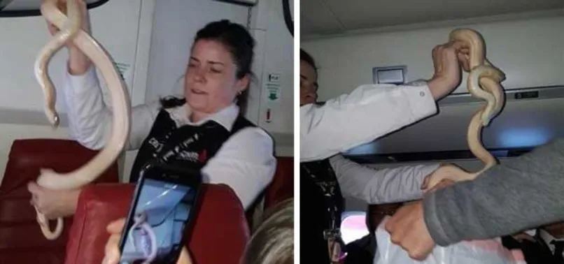 Hostes, kabinde öyle bir şey yakaladı ki...