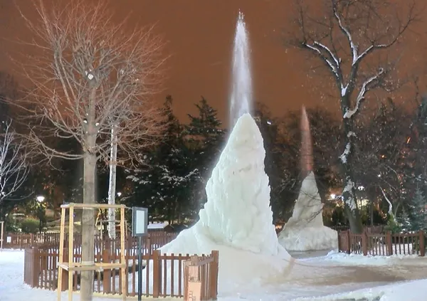 1643339371859.jpg Mogan Gölü ve Kuğulu Park buz tuttu - 2