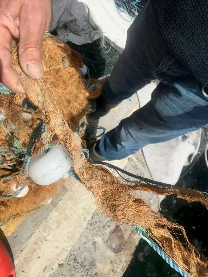 Son dakika | Marmara Denizi'nde büyük tehlike! Kameraya böyle yansıdı