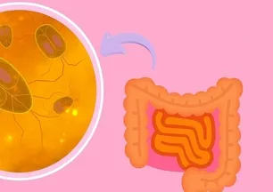 Geçirgen bağırsak sendromu nedir, belirtileri nelerdir, nasıl iyileştirilir?