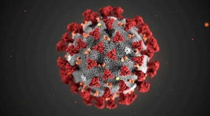 Kovid-19'un yeni varyantı nedeniyle 7 Afrika ülkesiyle uçuşlar askıya alındı! Fransa'da flaş gelişme - 1