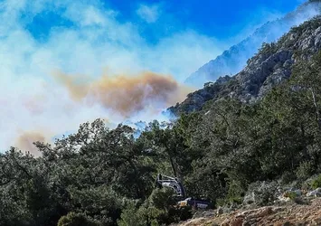 Antalya'da orman yangını! Ekipler seferber oldu