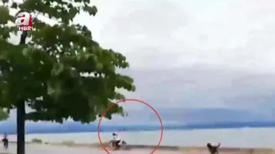 Sahilde başıboş köpek dehşeti