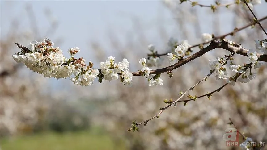 Türkiye genelinde yağış: O saatlere dikkat! Meteorolojiden 8 il için sarı ve turuncu kod 11