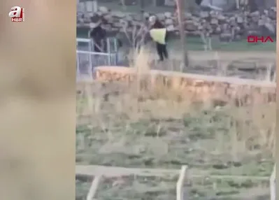 Sopalı şiddete uğrayan eşek öldü!