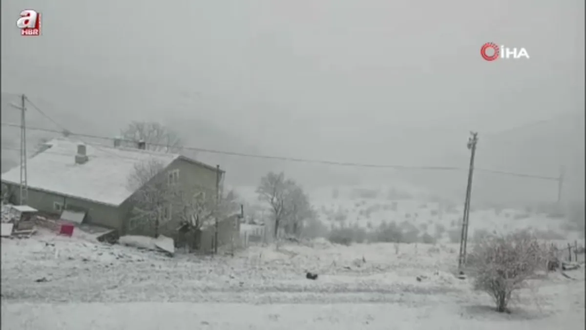 Posof yeniden beyaza büründü