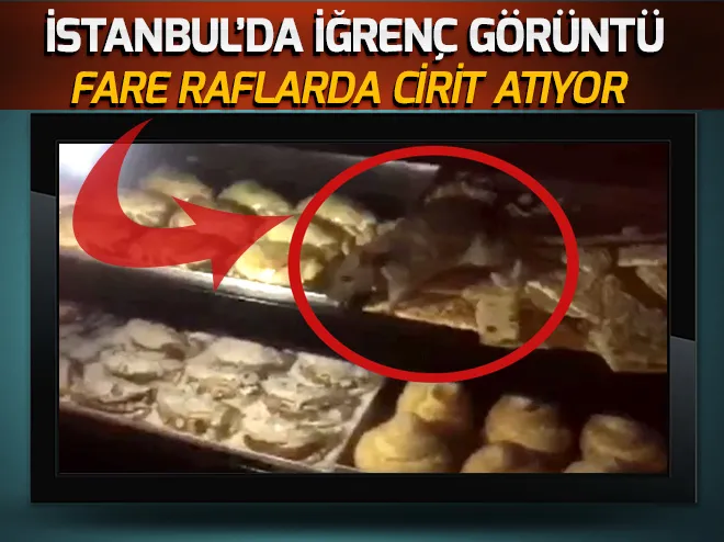 Farelerin cirit attığı pastanenin sahibi konuştu! - 1