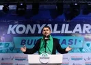 Fatihin torunları dedelerini takip ediyor