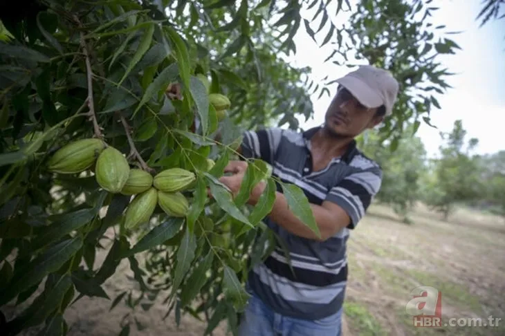 Öyle bir iş kurdu ki paraya para demiyor! Bu iş için mühendisliği bıraktı! Çok basit... 4