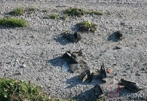 Ölüler bizi duyar mı? 10