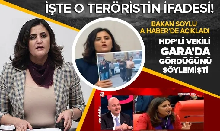HDP’li vekili Gara’da gördüğünü söylemişti! İşte o teröristin ifadesi