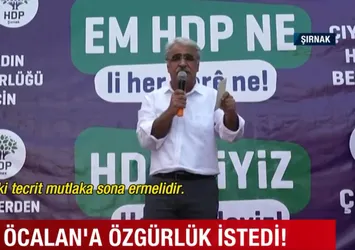 HDP Eş Genel Başkanı Mithat Sancar'dan Öcalan skandalı! Teröristbaşı Öcalan için özgürlük istedi