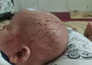 Küçük Tahanın hayatı kabusa döndü