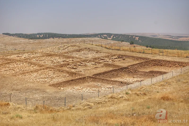 Başkan Recep Tayyip Erdoğan 2019 yılının Göbeklitepe yılı ilan edildiğini açıkladı! İşte Göbeklitepe hakkında bilinmesi gerekenler 19