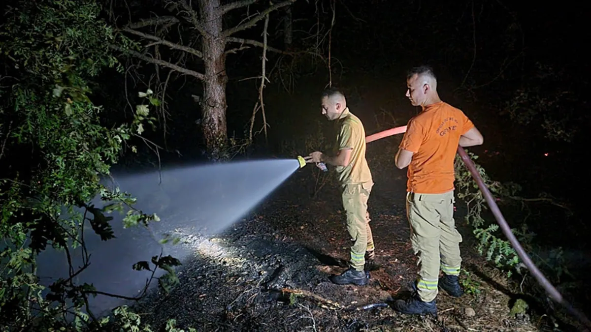 Geyve'de çıkan yangında 5 dönüm alan zarar gördü
