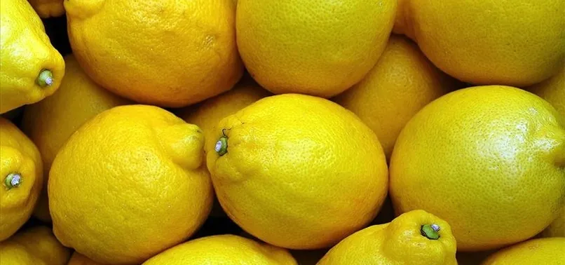 Limon ihracatında ön izin şartı kaldırıldı