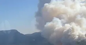 İzmir Menderes’te orman yangını