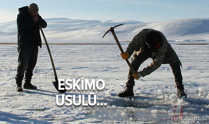 Erzincan'da eksi 20 derecede buzun altında balık avı! Onlarca balığı elleriyle böyle yakaladı: Güzel bir balık tutma tekniği 5