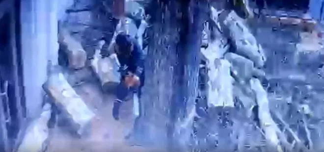 Geziciler neredesiniz? Çevreci ayağına yatanlar ölü numarası yapıyor! İBB’nin 112 çınarı katletmesine tepkiler çığ gibi