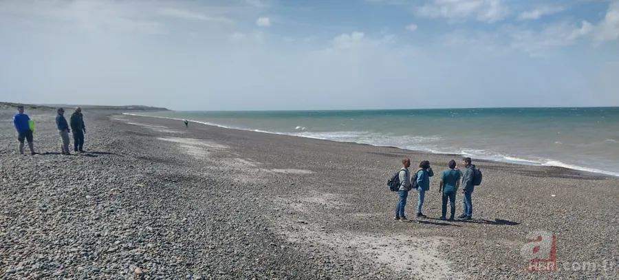 Köpek balığının midesinde bulundu! Ailesi dövmesinden tespit etti 3