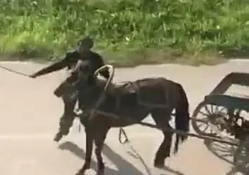 Bursa'da yükü çekmeyen atı böyle kırbaçladı