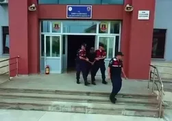 Gerze’de orman yangını! İşletme sahibi tutuklandı