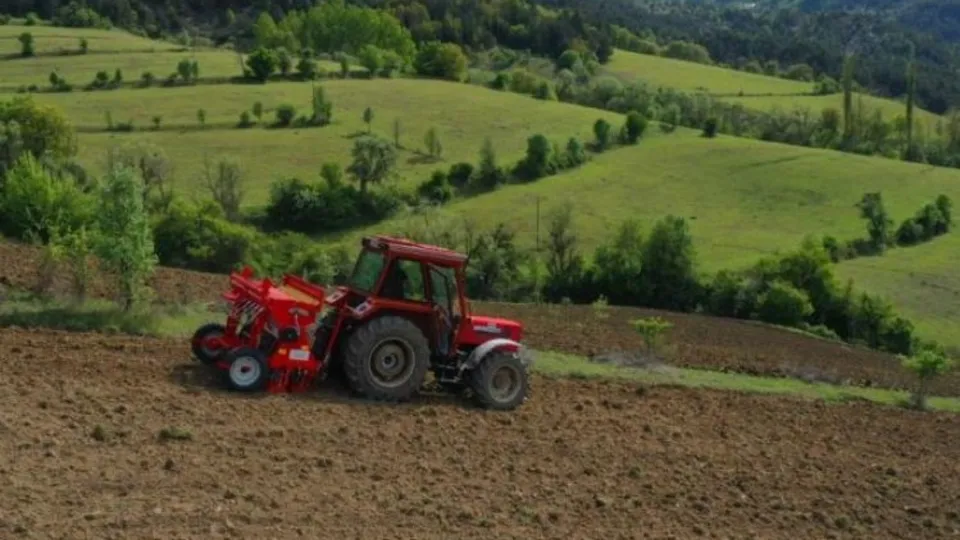 Boş arazilerden bugün bereket fışkırıyor