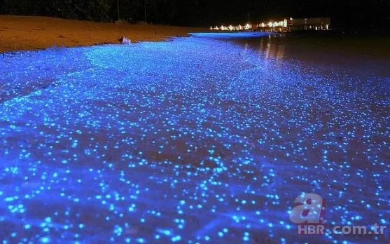 İran’da ‘Kan Yağmuru’: Sahil kırmızıya boyandı! 8