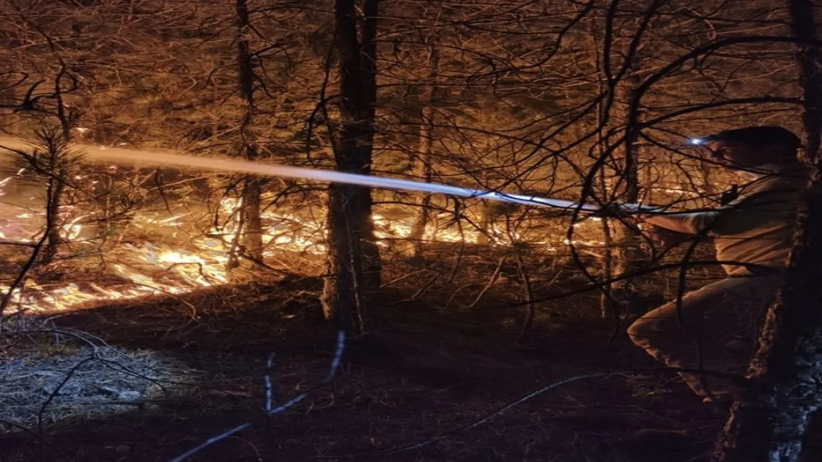 Balıkesir'de orman yangınına müdahale sürüyor! Uşak ve Manisa'daki yangınlar kontrol altında: 3 şüpheli gözaltına alındı