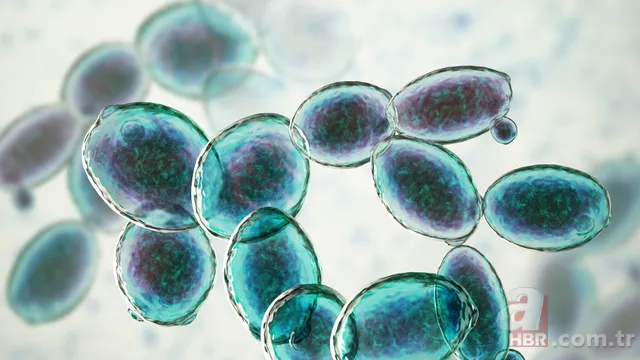 Sabah bir bardak suya tükürün! Tükürüğünüz suyun yüzeyinde kalmıyorsa… 23
