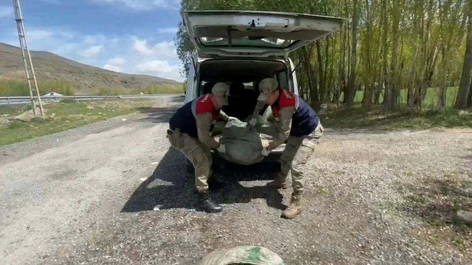 Van’da 450 kilo balık yakalandı