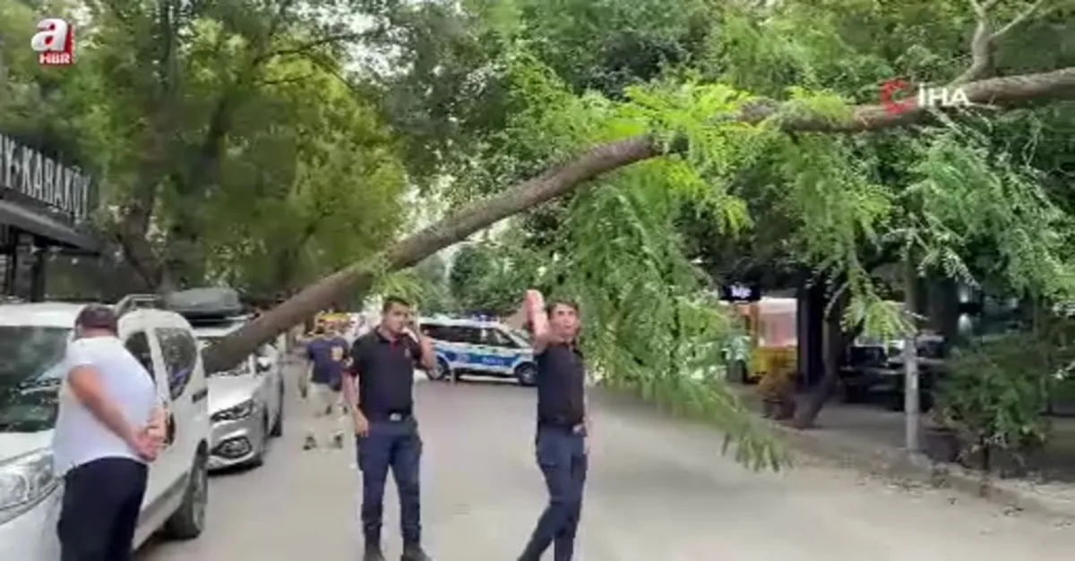 Ağaç otomobilin üzerine devrildi
