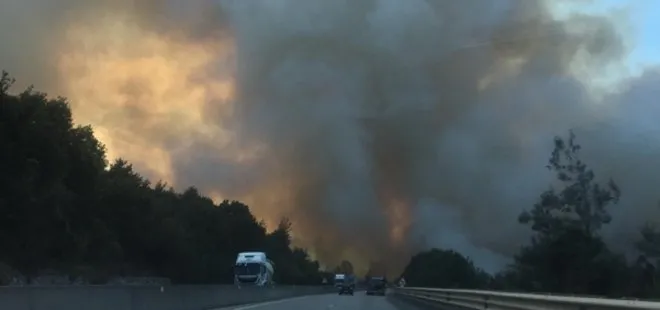 Son dakika: Bursa’da ormanlık alanda yangın çıktı