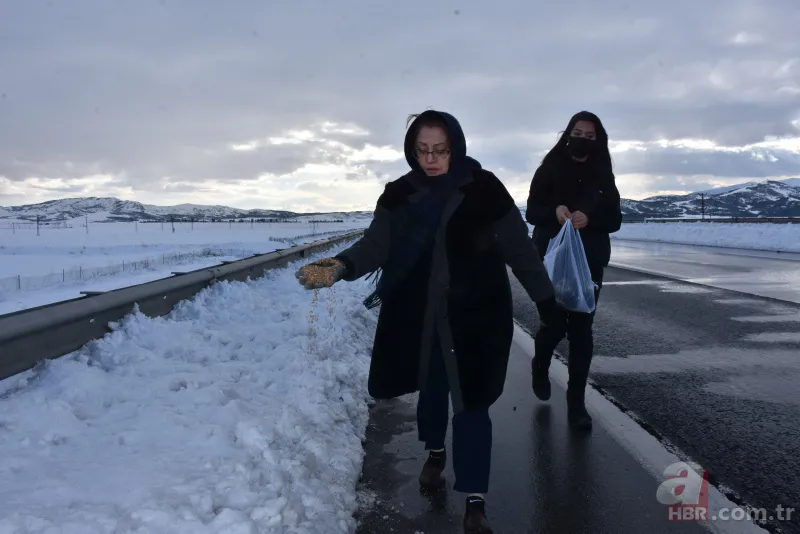 Gaziantep'te son durum nasıl? Yol temizleme çalışmalarından yeni görüntüler 2