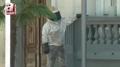 Sürü halinde ortaya çıkıp saldırdılar