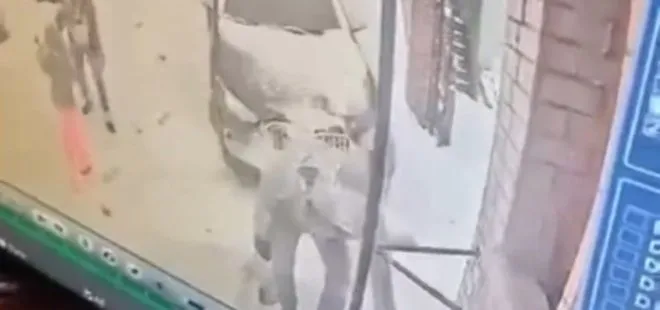 Kedi severken kayan araba çarptı! İstanbul'daki feci kaza kamerada