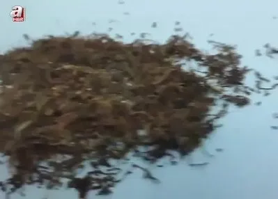 Şüpheli araçta bonzai ve esrar yakalandı