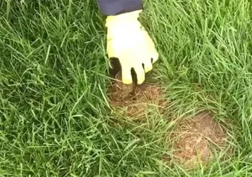 Çıkanlar herkesi şaşırttı