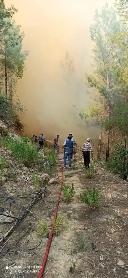 Burdur'da orman yangını çıktı - 4