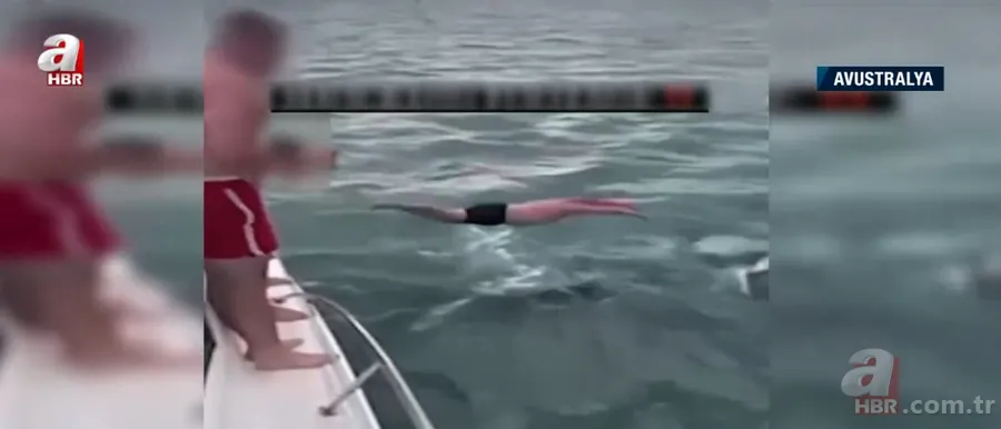 Katil balinaların üzerine balıklama atladı! Bedelini ağır ödedi 5