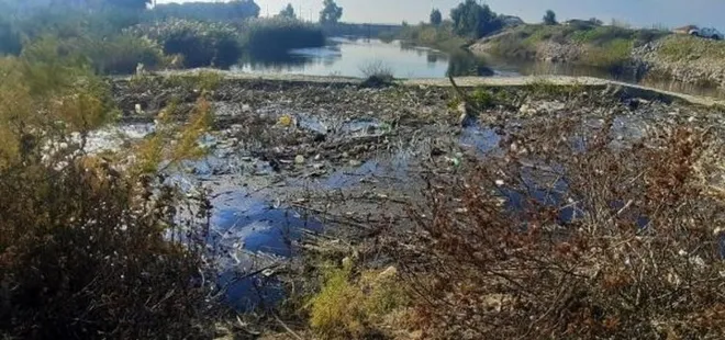 Ege Denizi'ne dökülen Büyük Menderes Nehri'nde skandal görüntü! Bakanlık harekete geçti