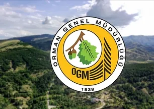 OGM işçi alımı sonuçları ne zaman? 496 sözleşmeli personel alımı takvimi