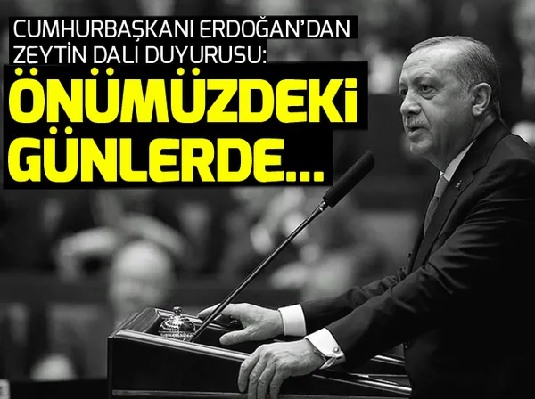 Cumhurbaşkanı Erdoğan'dan çocuk istismarıyla ilgili açıklama - 1