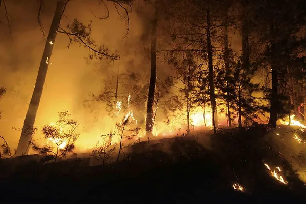 İzmir’de askeri kışlaya yönelik sabotaj girişimi! Ateşe verdiler...