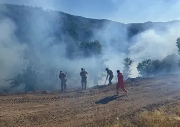 Tunceli'de kırsal alanda yangın! Jandarma ekiplerinden canhıraş müdahale