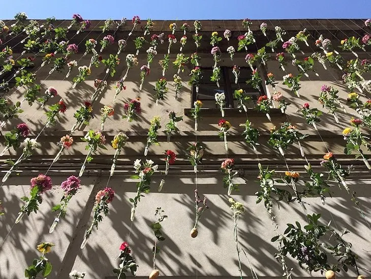 Mimarlık ofisinin cephesi 2000 adet çiçekle donatıldı
