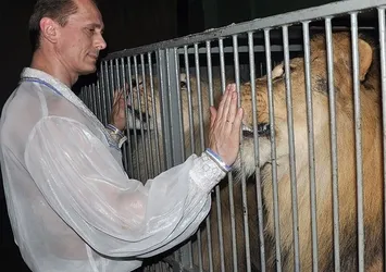 Fransa'da aslan, terbiyecisine saldırdı