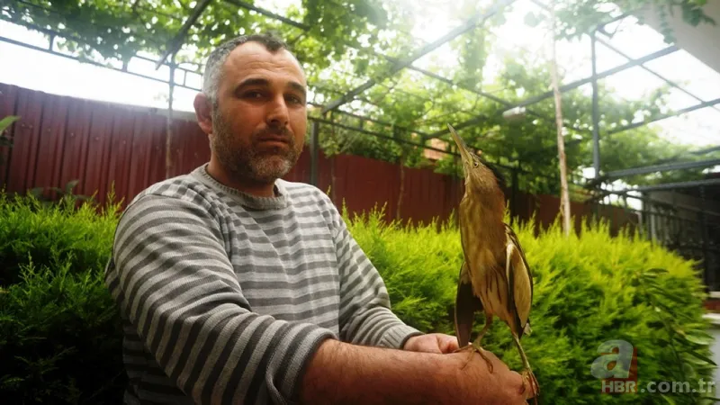 Kamufle olup ölü taklidi yaptı! Diyarbakır'da nesli tükenmekte olan hayvan köylüler tarafından fark edildi 9